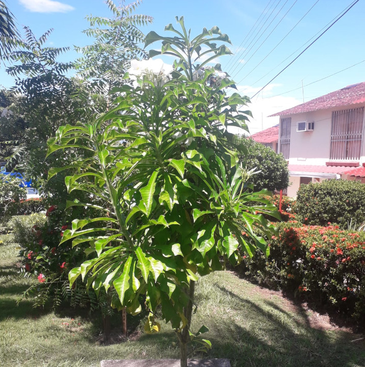 Jardines - Conjunto Residencial Bello Horizonte Etapa 3B