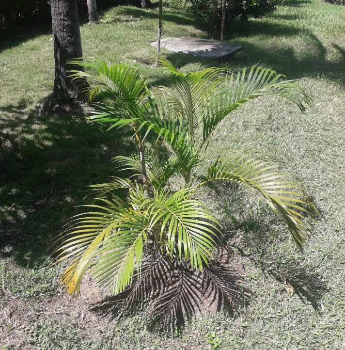 Jardines - Conjunto Residencial Bello Horizonte Etapa 3B