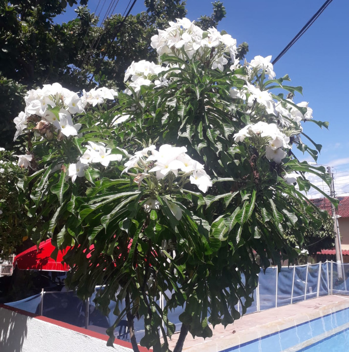 Jardines - Conjunto Residencial Bello Horizonte Etapa 3B