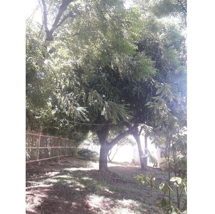 Senderos ecologicos - Conjunto Residencial Bello Horizonte Etapa 3B