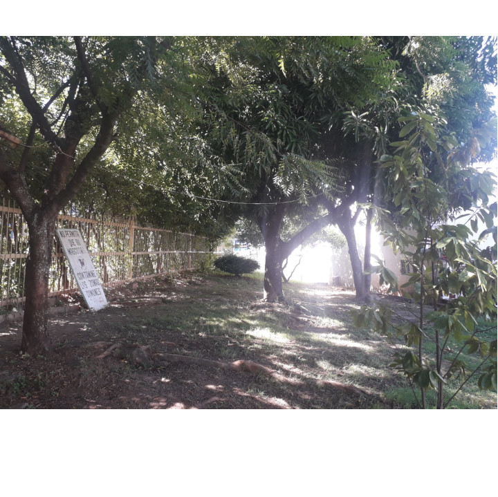 Senderos ecologicos - Conjunto Residencial Bello Horizonte Etapa 3B